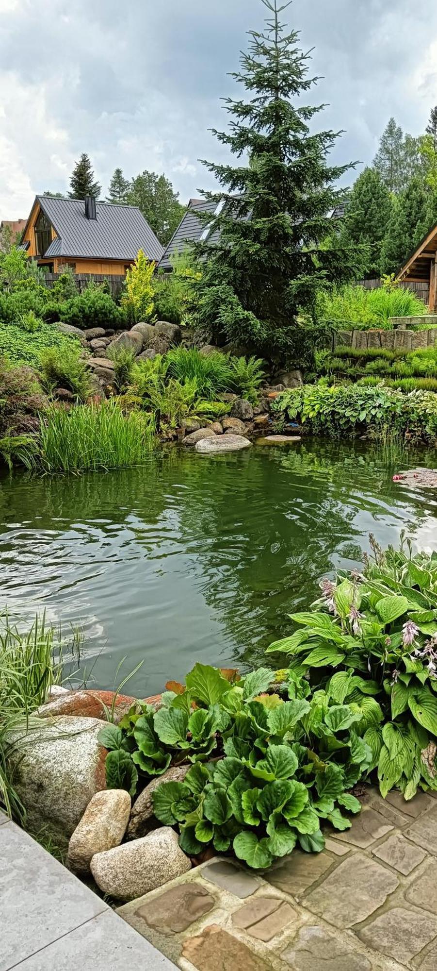 Apartament Nad Stawem Zakopane Zewnętrze zdjęcie