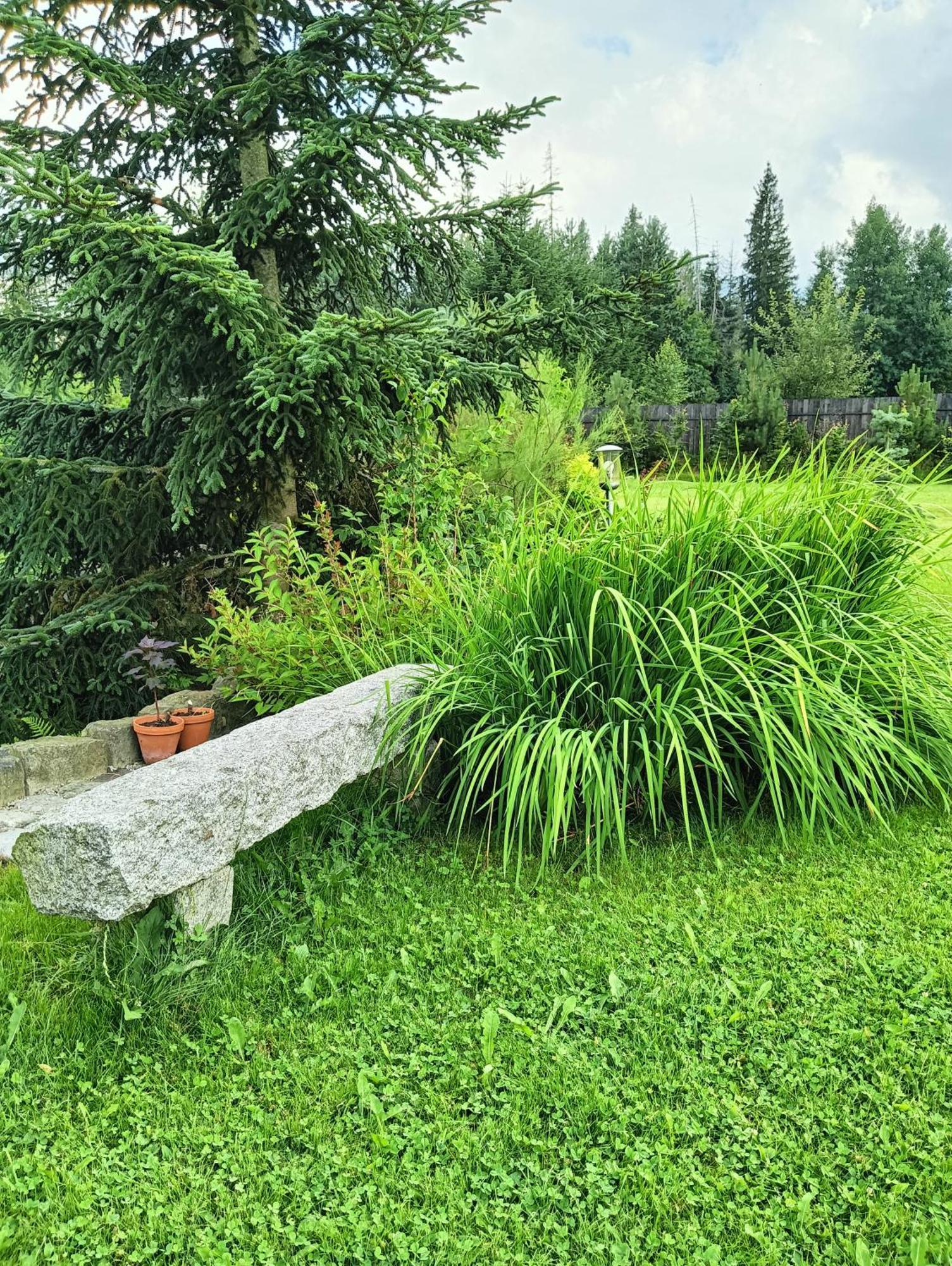 Apartament Nad Stawem Zakopane Zewnętrze zdjęcie